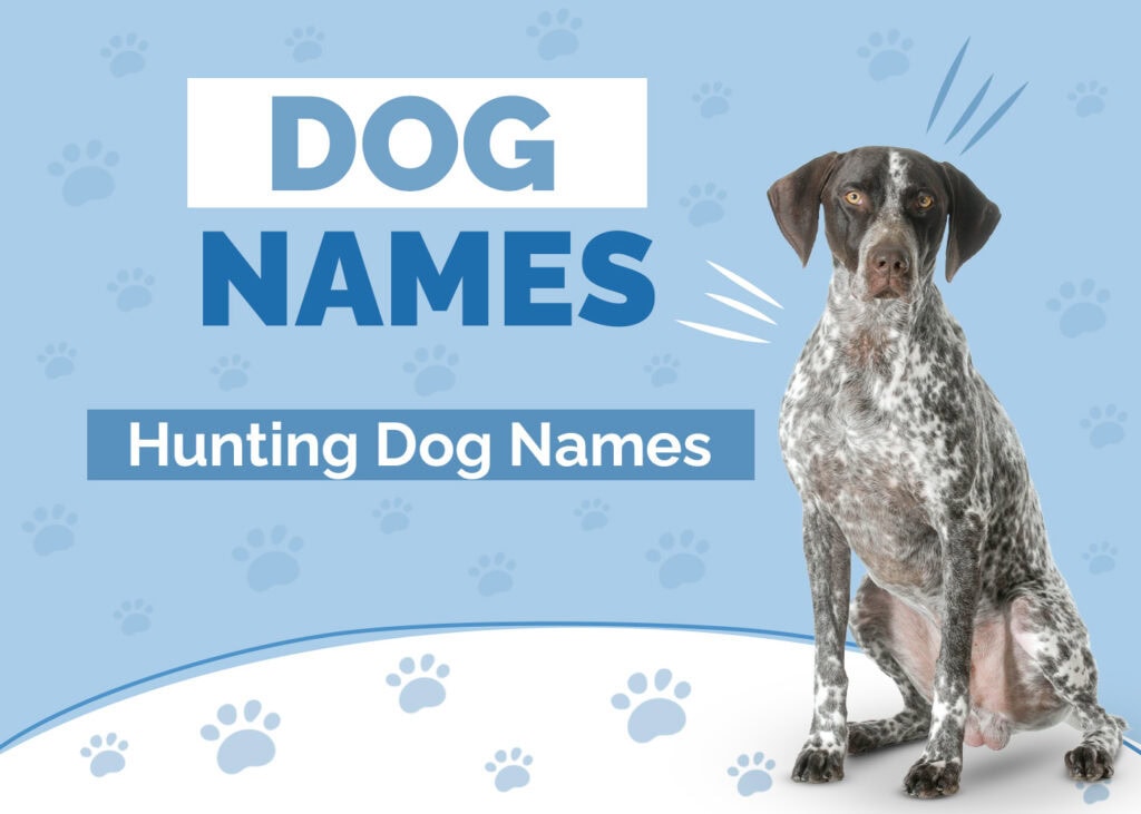 Hunting Dog Names