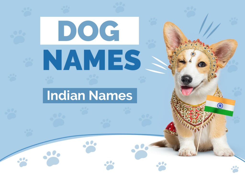 Indian Dog Names
