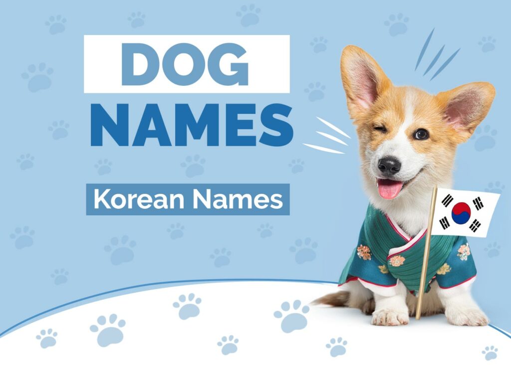 Korean Dog Names