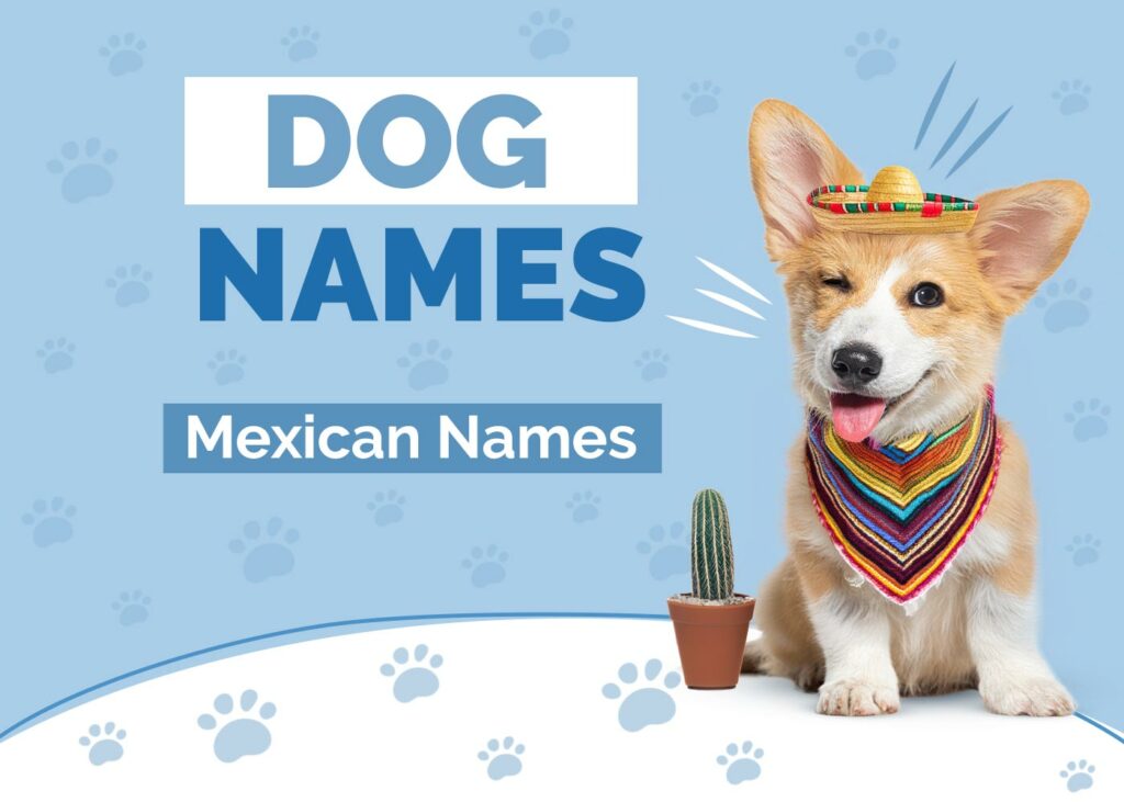 Mexican Dog Names