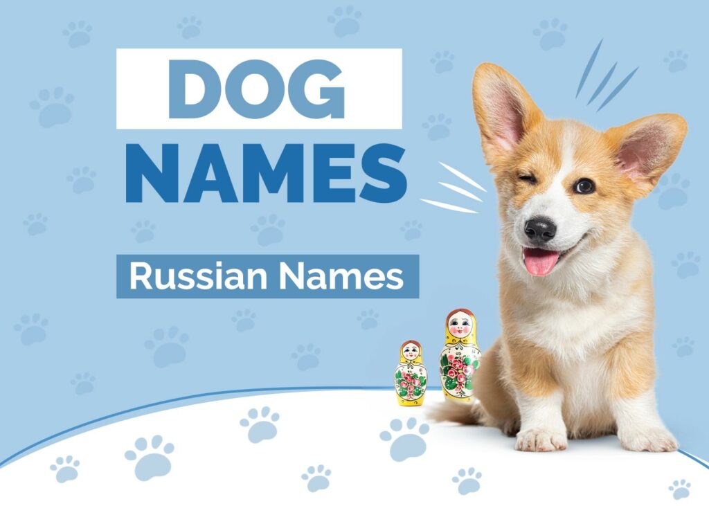 Russian Dog Names
