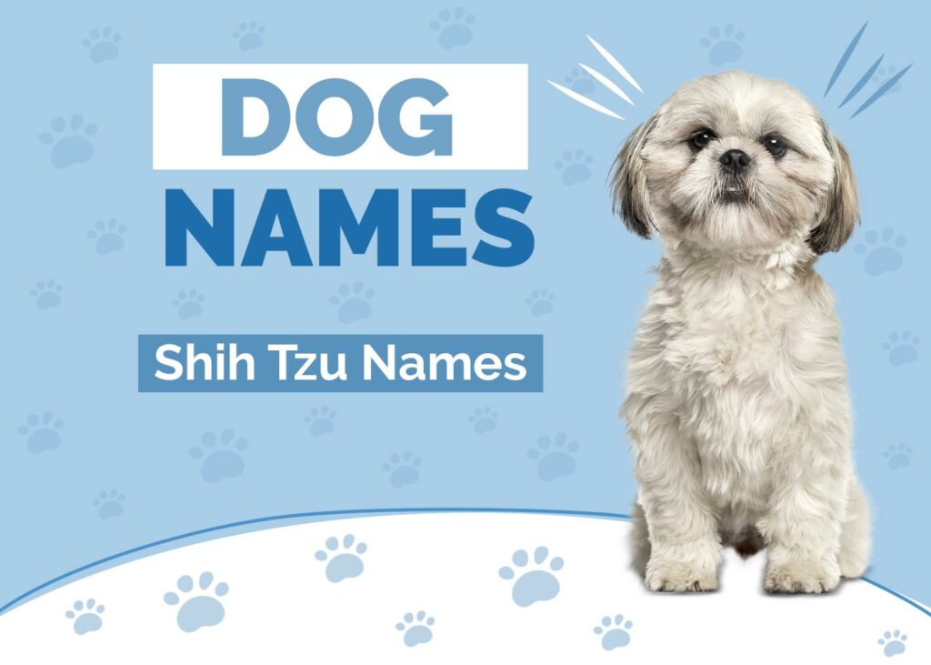 Shih Tzu Dog Names
