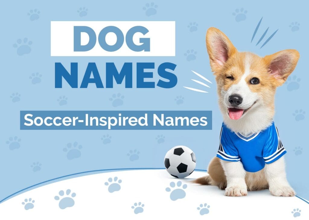 Soccer Inspired Dog Names