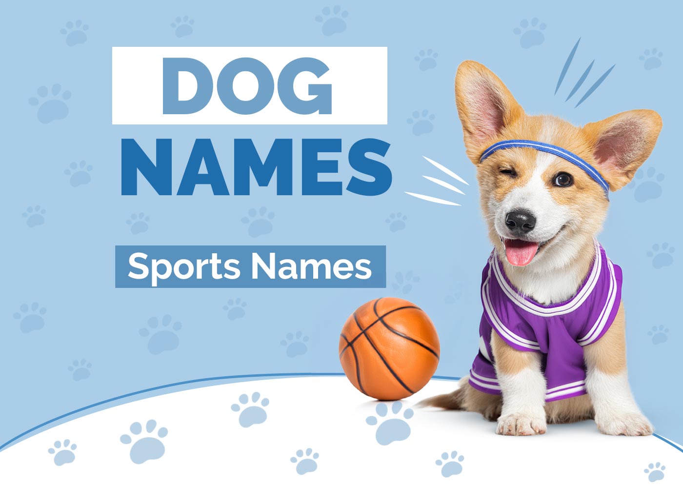 100+ Sports Dog Names Ideas for Athletic & Fun Dogs Hepper