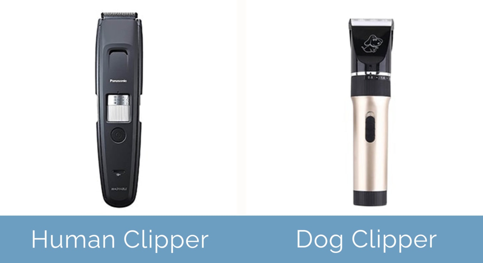 Dog Grooming Clippers vs Human Clippers The Differences (With Pictures) Hepper