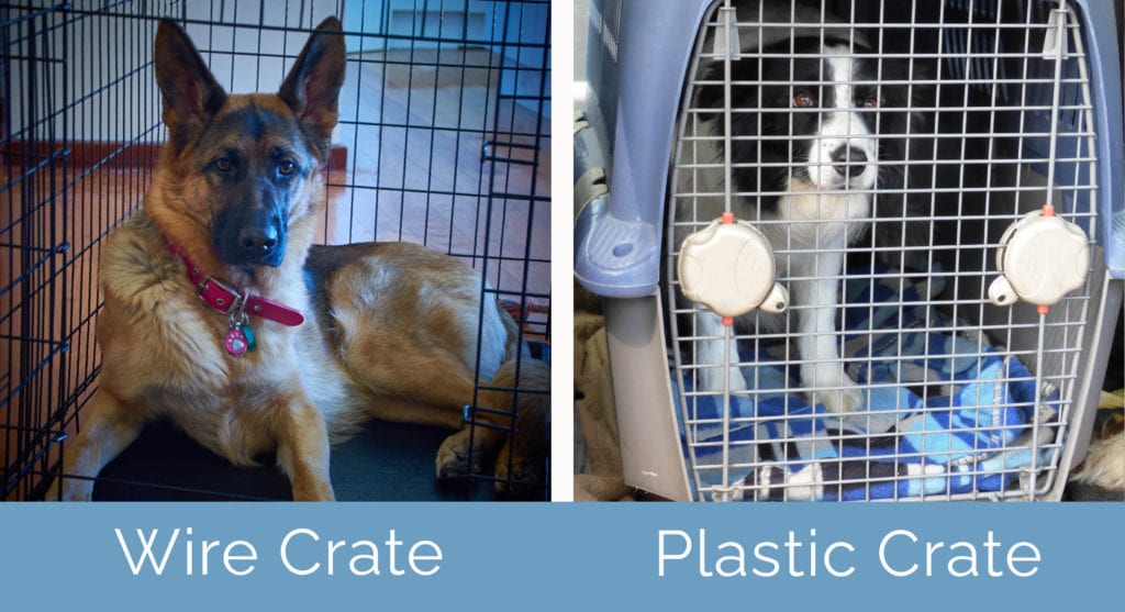 Wire Crate vs Plastic Crate