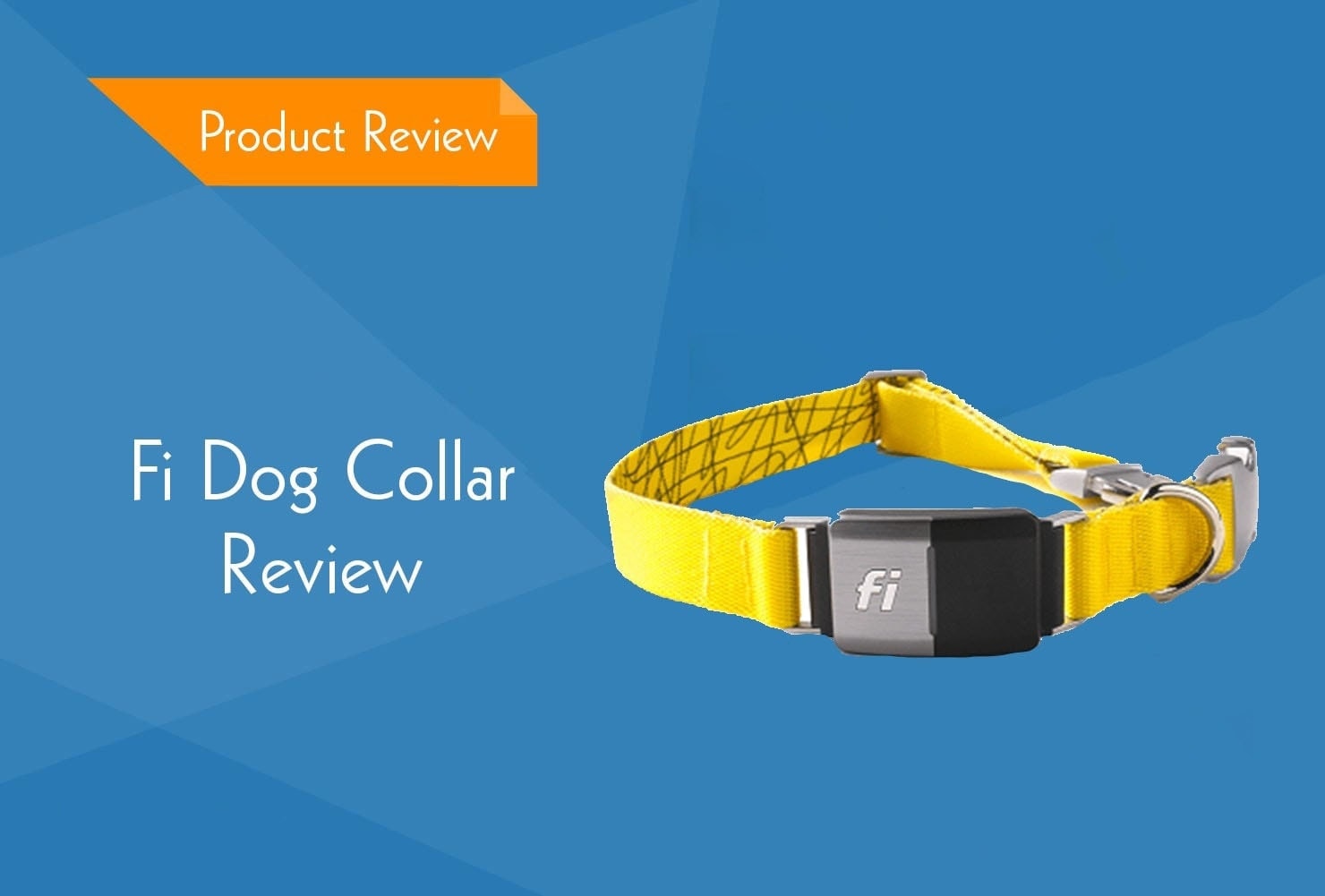 fi dog collar review2
