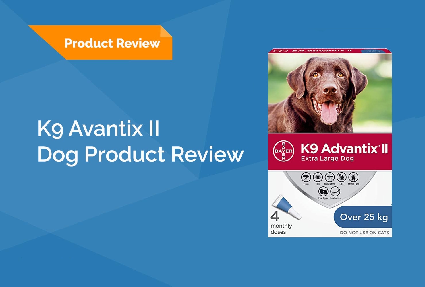 K9 Advantix II Review 2022: Pros, Cons, & Verdict - Hepper