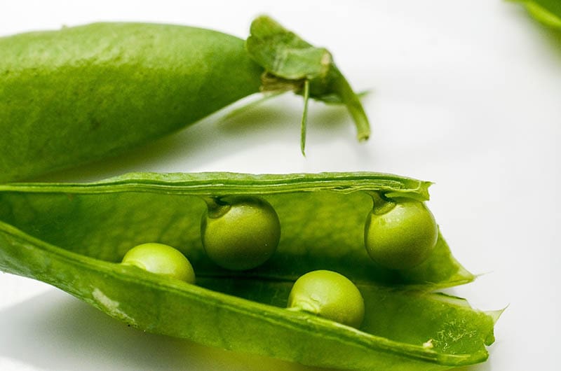 Can Dogs Eat Sugar Snap Peas? Nutrition Facts & Guide | Hepper