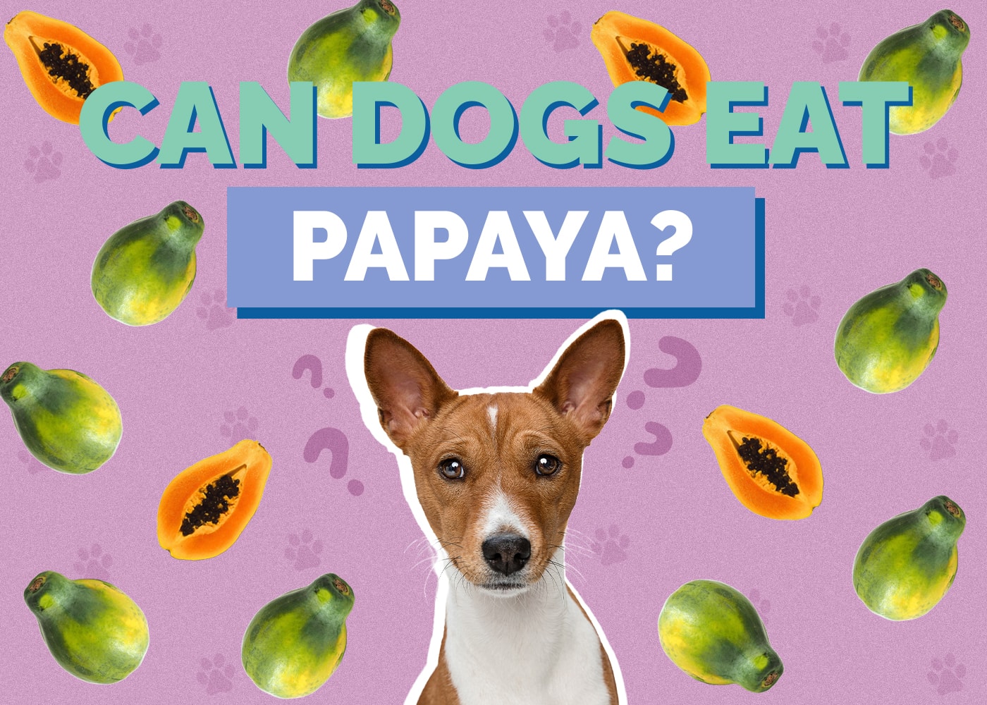 Can Dogs Eat papaya