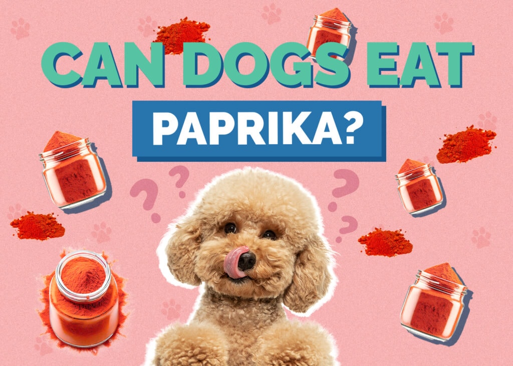 Can Dogs Eat paprika