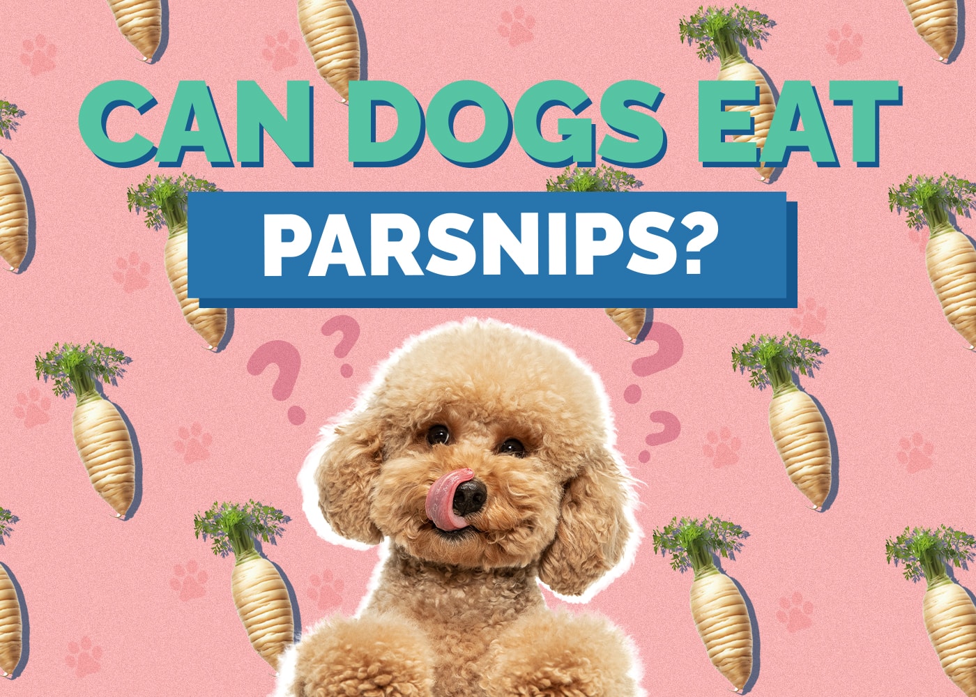Can Dogs Eat parsnips