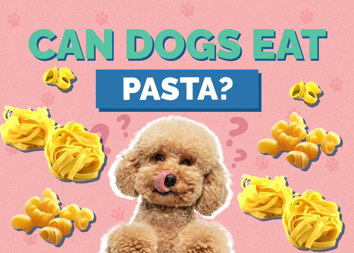 Can Dogs Eat pasta