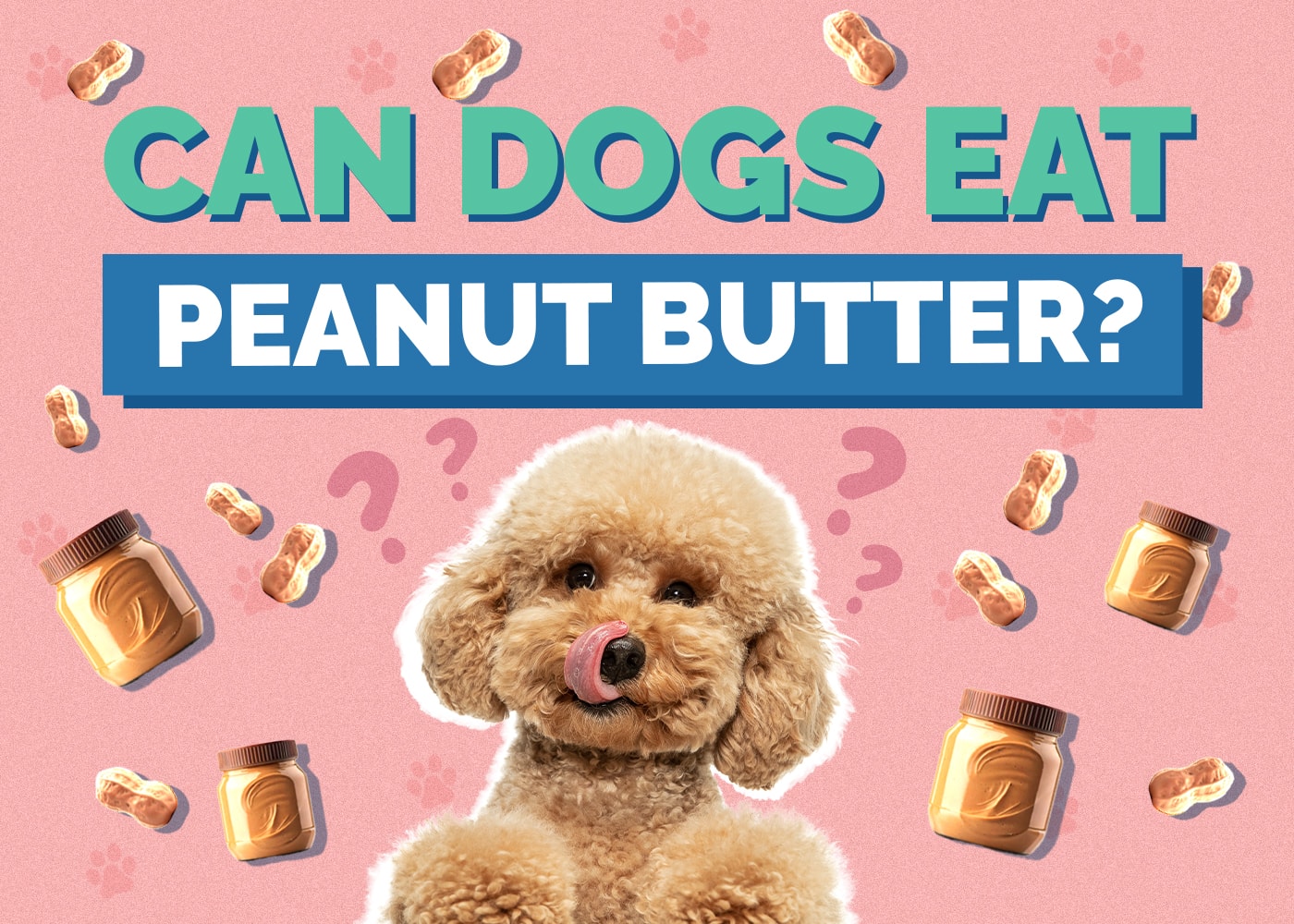 Can Dogs Eat peanut-butter