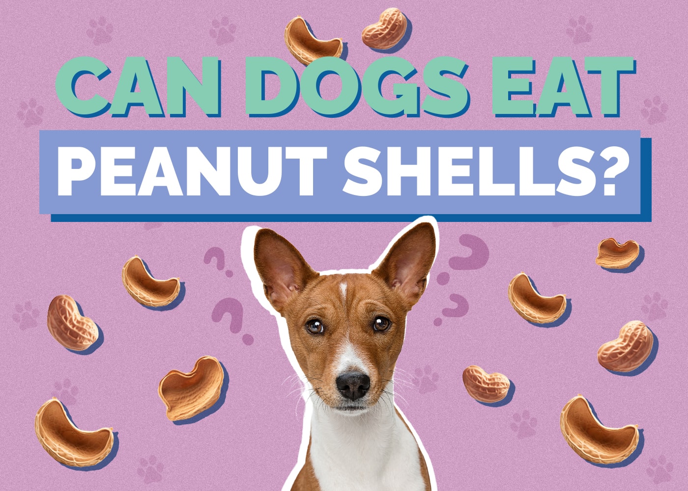 Can Dogs Eat peanut-shells