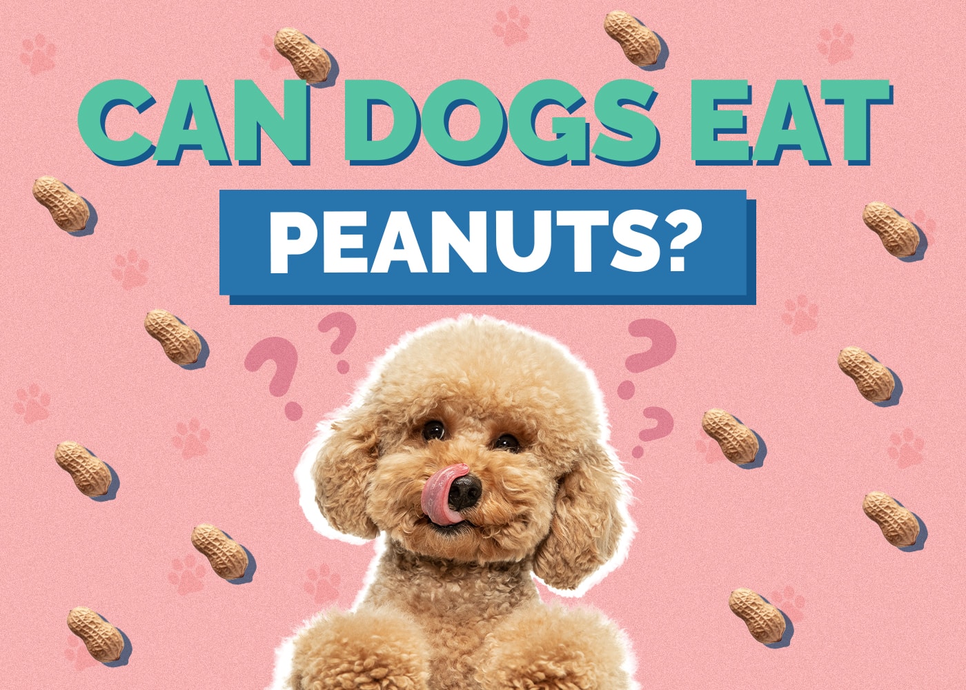 Can Dogs Eat peanuts