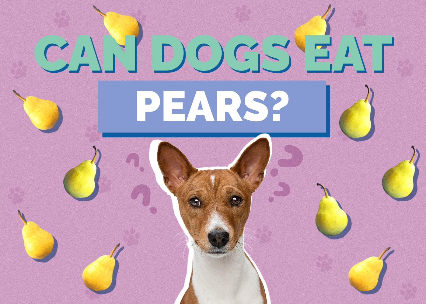 Can Dogs Eat pear