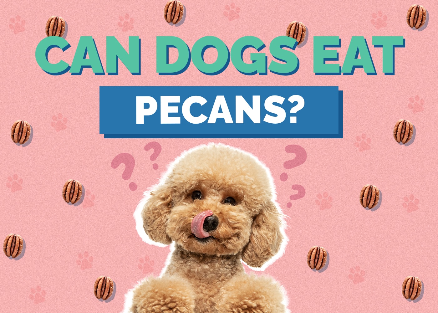 Can Dogs Eat pecans