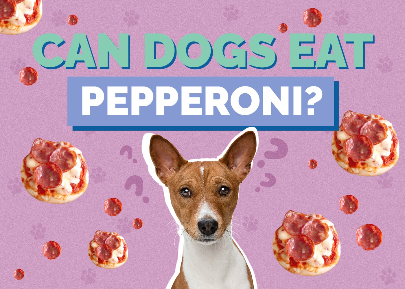 Can Dogs Eat pepperoni