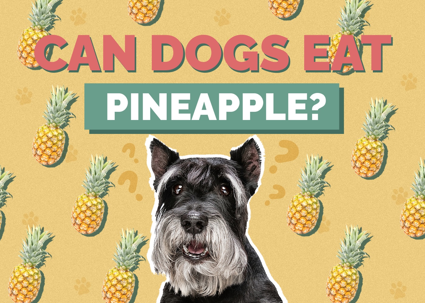 Can Dogs Eat pineapple