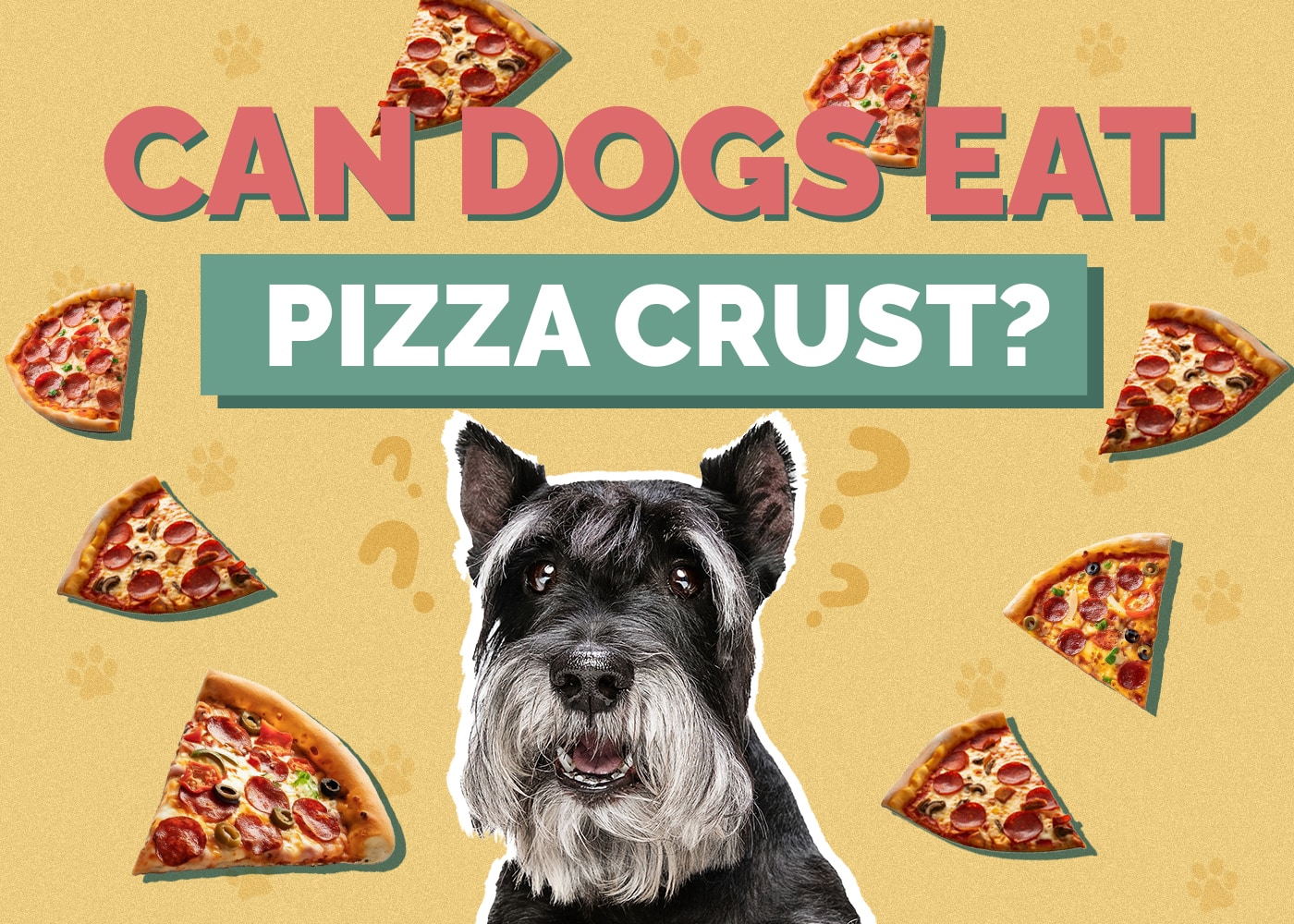 Can Dogs Eat pizza-crust