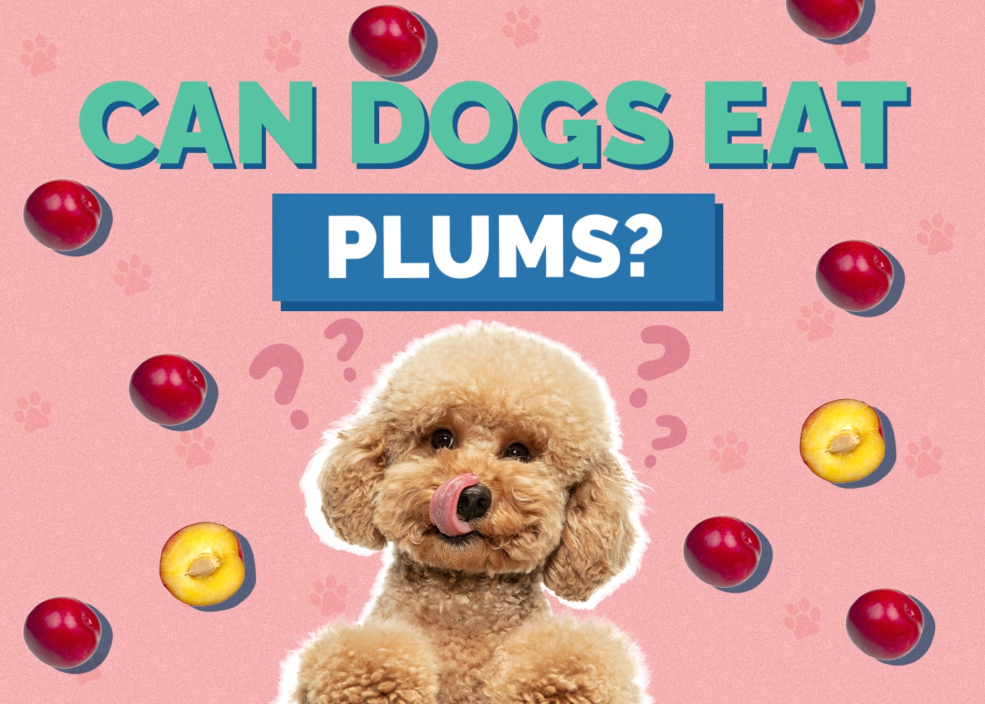 Can Dogs Eat plums