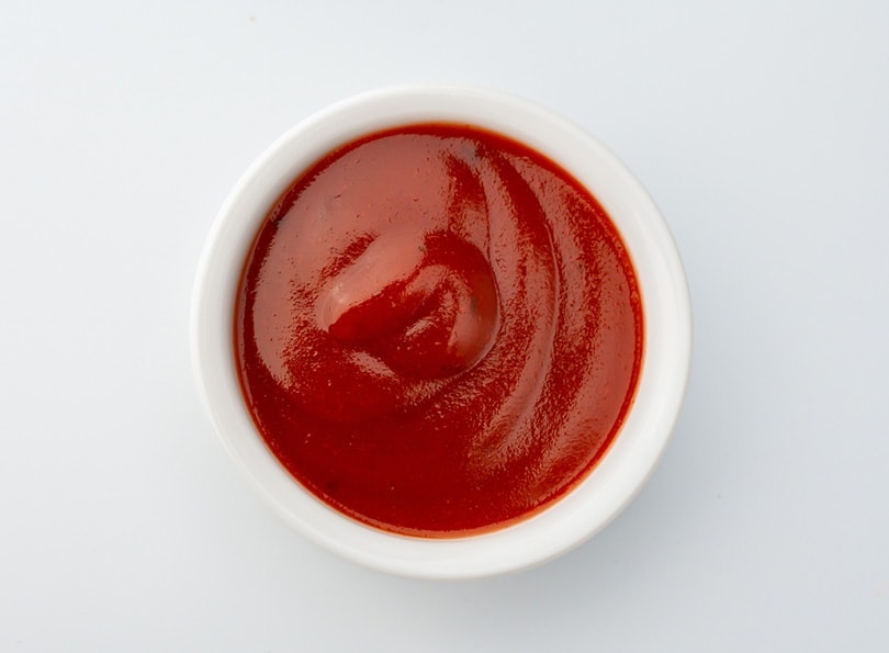 tomato sauce ketchup on a saucer
