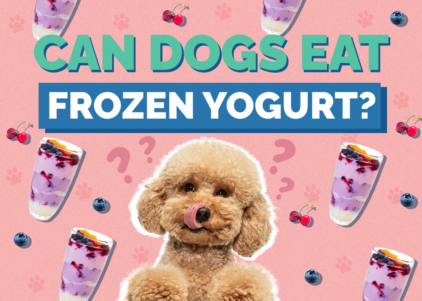 Can Dogs Eat frozen yogurt
