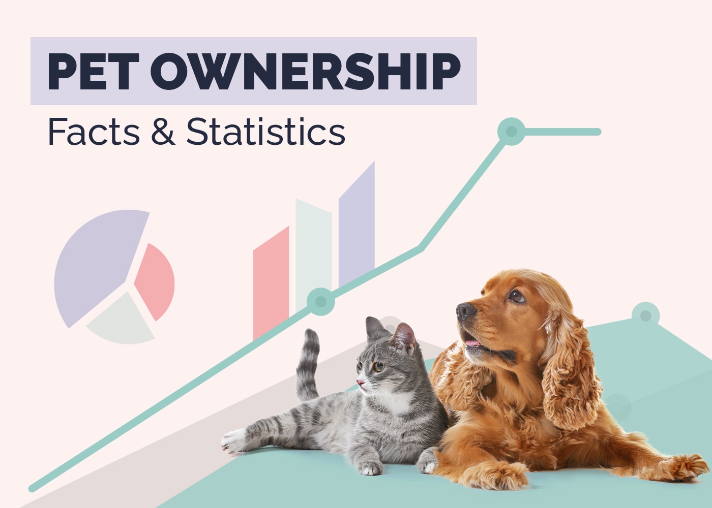 Pet Ownership Statistics