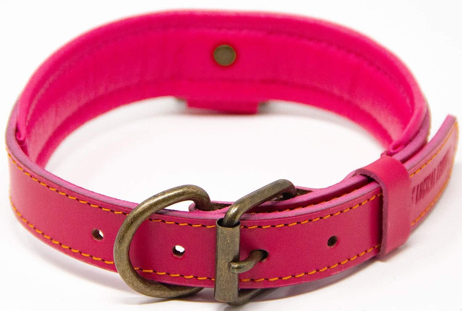 Logical Leather Padded Dog Collar 