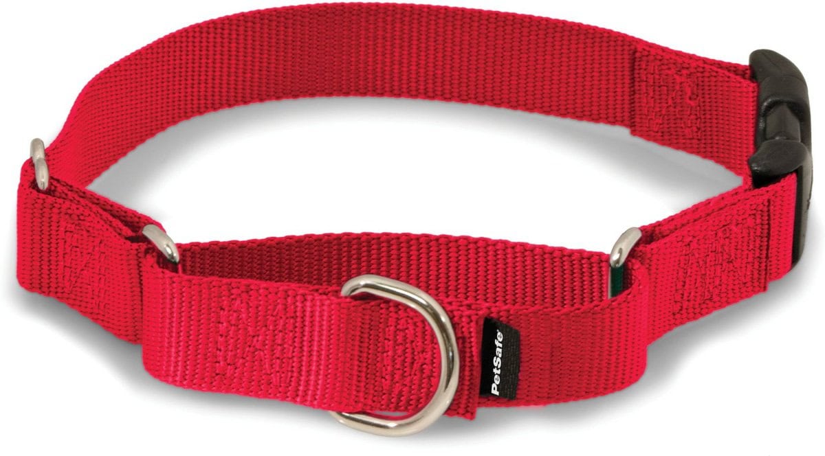 PetSafe Premier Quick Snap Martingale Dog Collar 