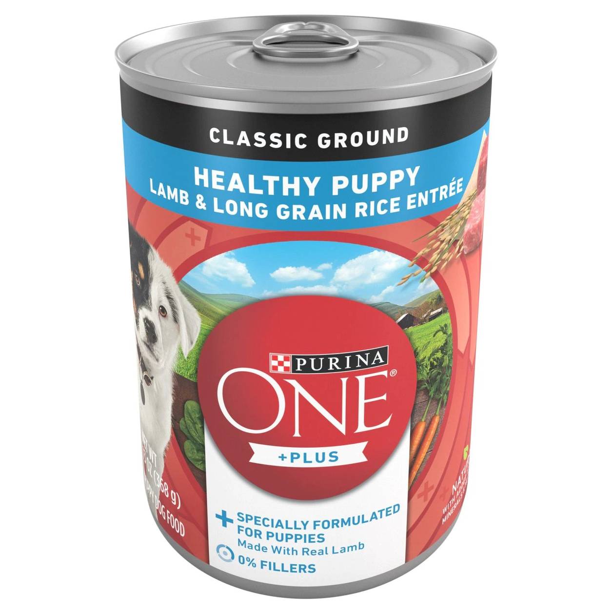 Purina ONE +Plus Classic Ground Healthy