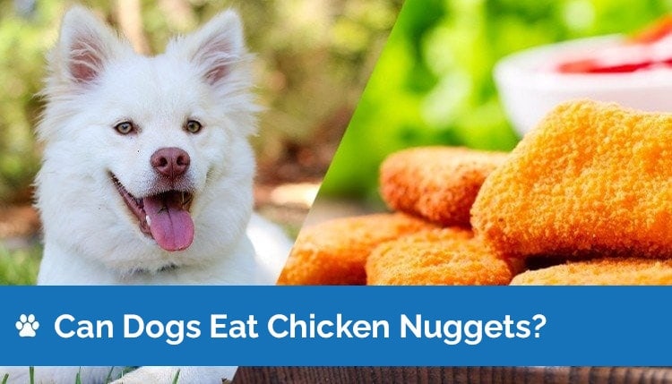 can dogs eat chicken nuggets