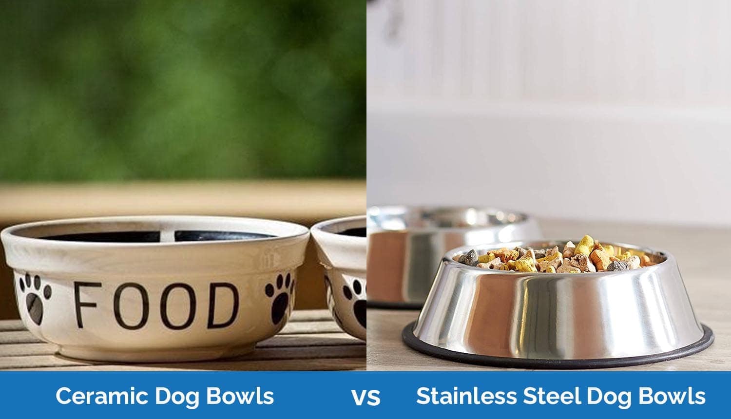 ceramic dog bowls vs stainless steel 2