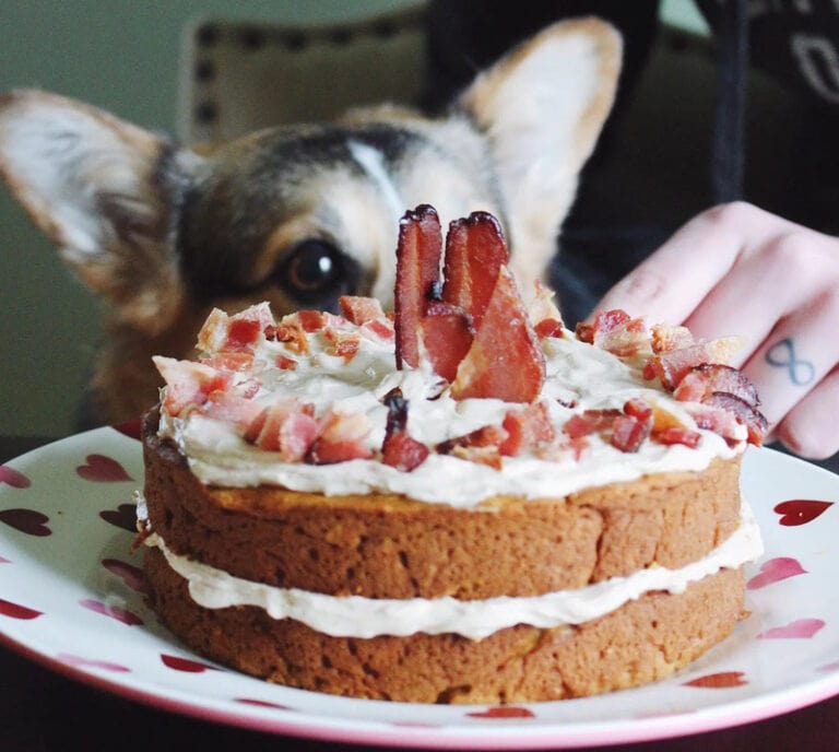 9 Homemade Dog Cake Recipes (VetApproved) Hepper