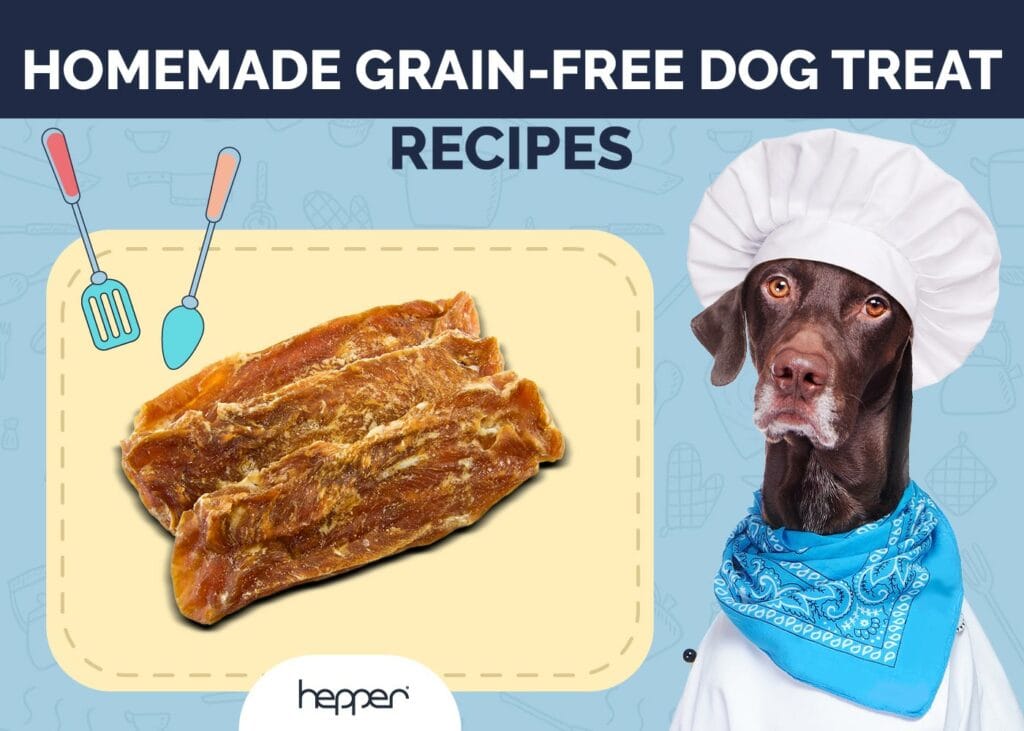 Homemade Grain-Free Dog Treat Recipes