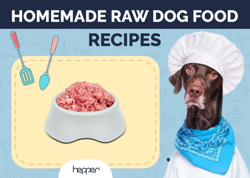 Homemade Raw Dog Food Recipes