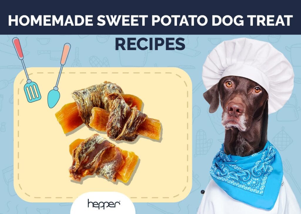 Homemade Sweet Potato Dog Treats Recipes