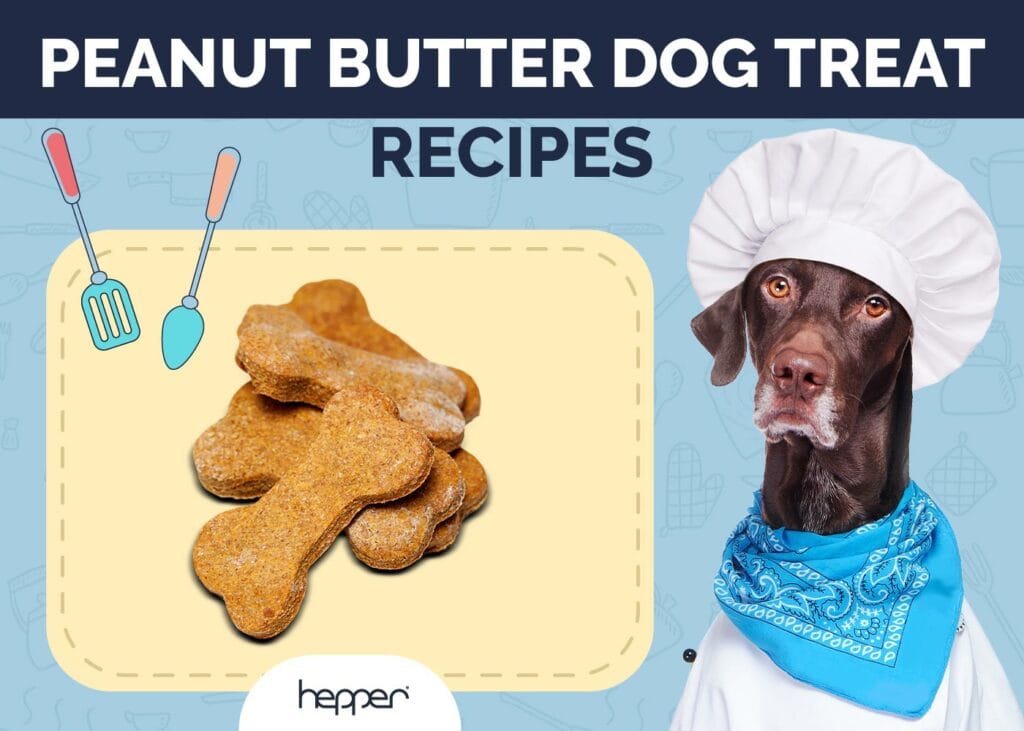 Peanut Butter Dog Treat Recipes