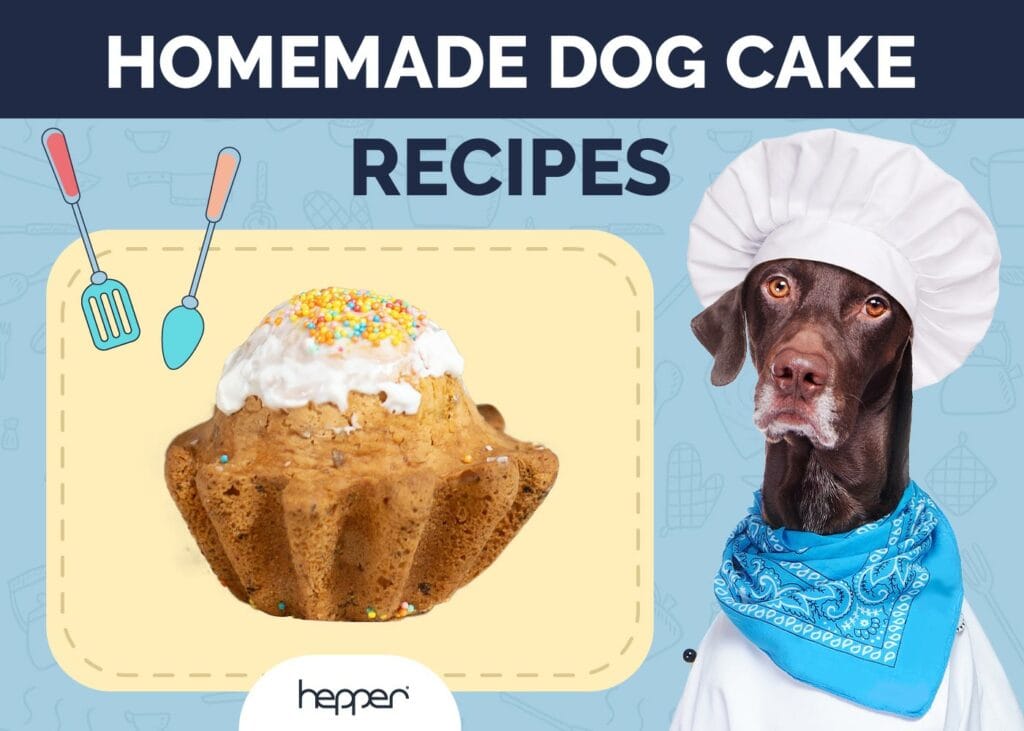 Homemade Dog Cake Recipes