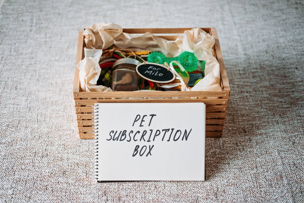 Subscription pet Box