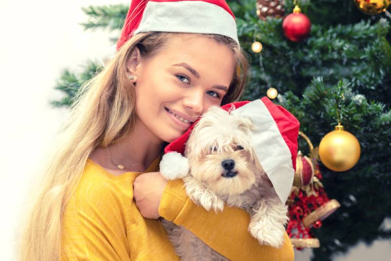 a young woman hugging her pet bichon frise by the christmas tree
