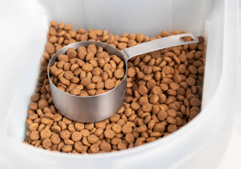 dry pet food scooped in a plastic container