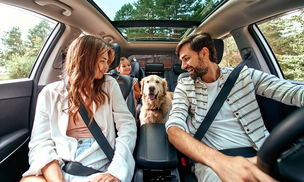 family in the car with their dog