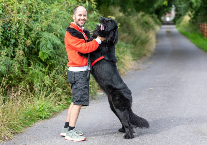 man playing with his newfoundland dog outdoors