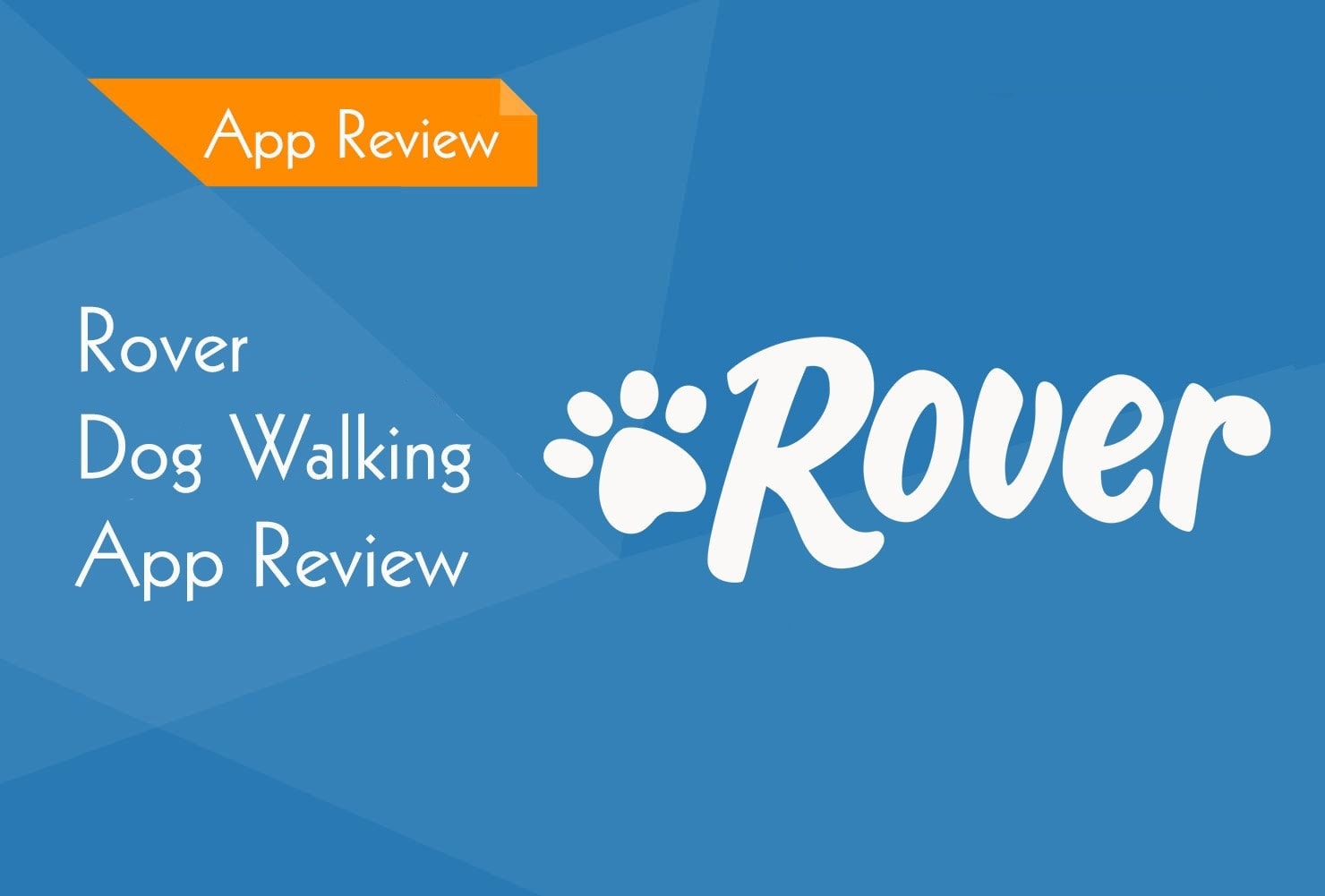 rover-review2
