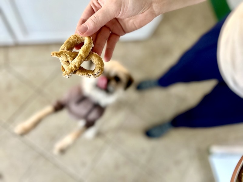 white dog licking lips jumping for homemade pretzel dog treat