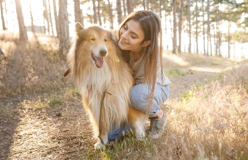 young dog owner hugging her pet collie in the woods