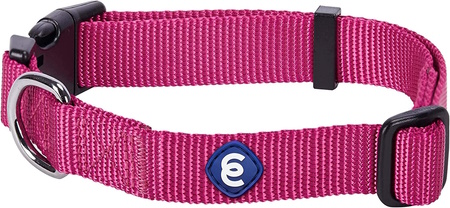 Blueberry Pet Essentials Classic Dog Collar