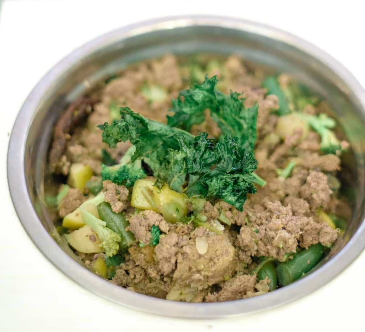 9 Homemade GrainFree Dog Food Recipes Every Dog Will Love Hepper